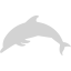 light gray dolphin icon