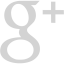 light gray google plus icon