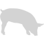 light gray pig 7 icon