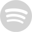 light gray spotify icon