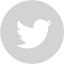 light gray twitter 4 icon