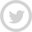 light gray twitter 5 icon