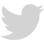 light gray twitter icon