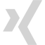 light gray xing icon