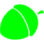 lime acorn 7 icon