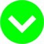 lime arrow 206 icon