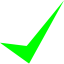 lime check mark 10 icon