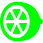 lime citrus icon