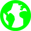 lime globe 7 icon