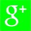 lime google plus 2 icon