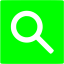 lime google web search icon