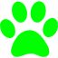 lime paw icon