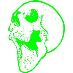 skull 21 icon