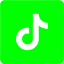 lime tiktok 2 icon