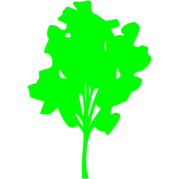 tree 30 icon