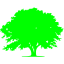 tree 9