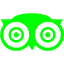 lime tripadvisor icon