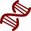 maroon dna helix icon