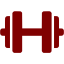 maroon dumbbell icon