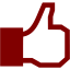 maroon facebook like icon