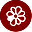 maroon icq 4 icon