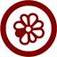 maroon icq 5 icon