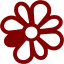 maroon icq 6 icon