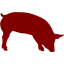 maroon pig 7 icon