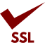 maroon ssl badge 3 icon