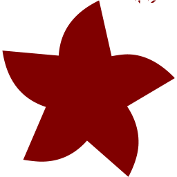 star 21 icon