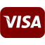 maroon visa icon