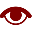 maroon visible icon