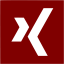 maroon xing 2 icon