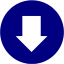 navy blue arrow 209 icon