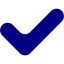 navy blue check mark 12 icon