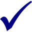 navy blue check mark 3 icon