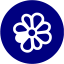 navy blue icq 4 icon