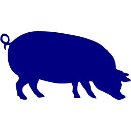 pig 4 icon