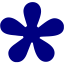 navy blue star 19 icon