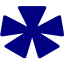 navy blue star 20 icon