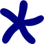 navy blue star 24 icon