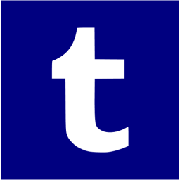 tumblr 2 icon