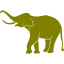 elephant 6