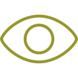 eye icon