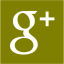 olive google plus 2 icon