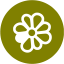 olive icq 4 icon