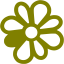 olive icq 6 icon