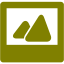 olive image 2 icon