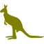 kangaroo 4