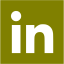 olive linkedin 2 icon